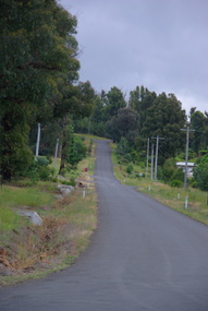 Photograph - Colour, Clare Gervasoni, Pack Street, Marysville, 2012, 15/12/2012