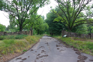 Photograph - Colour, Clare Gervasoni, The site of Marylands at Marysville after 'Black Saturday', 2012, 15/12/2012