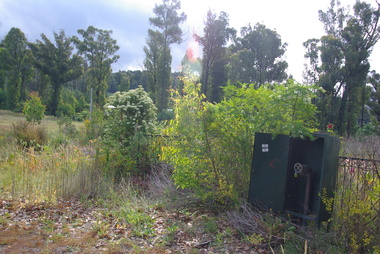 Photograph - Colour, Clare Gervasoni, The site of Marylyn Guest House at Marysville after 'Black Saturday', 2012, 15/12/2012