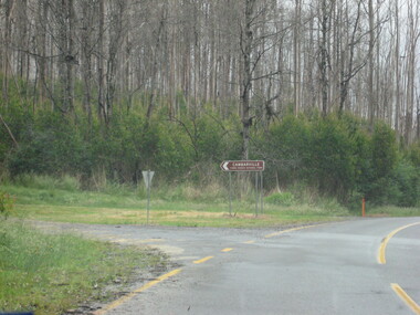 Photograph - Colour, Clare Gervasoni, Road to Camberville After 'Black Saturday', 2012, 16/12/2012