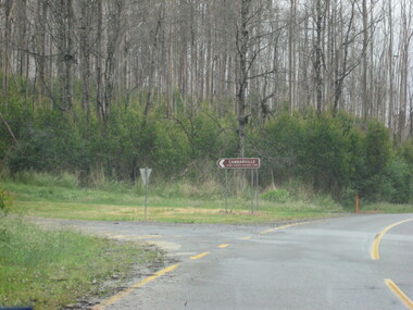 Photograph - Photograph - Colour, Clare Gervasoni, Road to Camberville After 'Black Saturday', 2012, 16/12/2012
