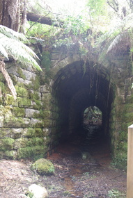 Photograph - Colour, Clare Gervasoni, Big Culvert Near Marysville, 2015, 04/11/2015