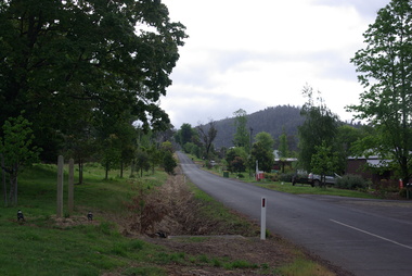 Photograph - Colour, Clare Gervasoni, Sedgwick Street, Marysville, 2014, 02/11/2014