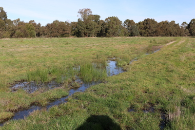 Photograph - Digital photograph, Winter's Swamp surrounds, April 2014