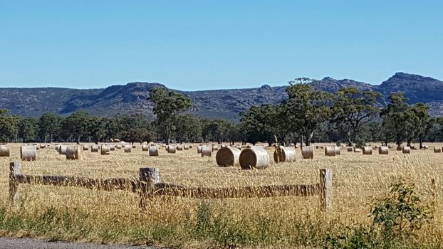 Hay with the Grampians in the Background