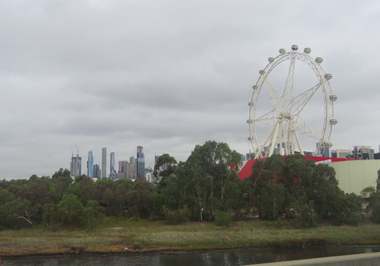 Photorgraphs - Colour, Clare Gervasoni, Melbourne Star Ferris Wheel, 2019, 31/03/2019