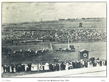 Image, Finish of the Melbourne Cup, 1902