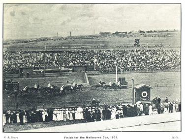 Photograph - Image, Finish of the Melbourne Cup, 1902, 1902