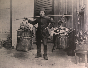 Photograph - Image, Chinese Vegetable Hawker, c1897