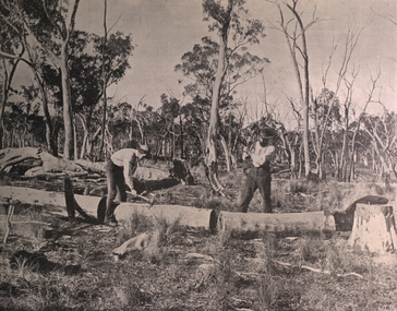 Image, Timber Spitters at Work, c1897