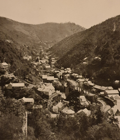 Photograph - Image - Black and White, Walhalla Looking North, c1903