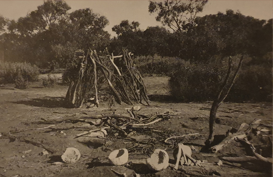 "A Native Burial Place (Weeping Caps in Foreground