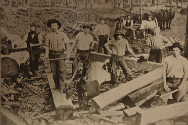 Image, Timber Workers, c1918, c1918