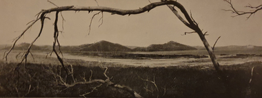 Photograph - Image, Tower Hill, Victoria, c1918, c1918