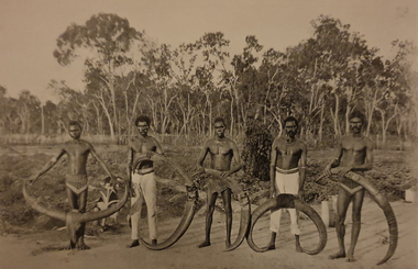 Image - Black and White, Aborigines with Buffalo Horns at Meville Island, c1903
