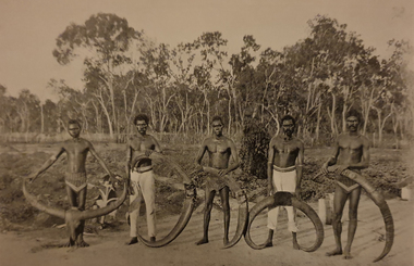 Image - Black and White, Aborigines with Buffalo Horns at Meville Island, c1903, c1903