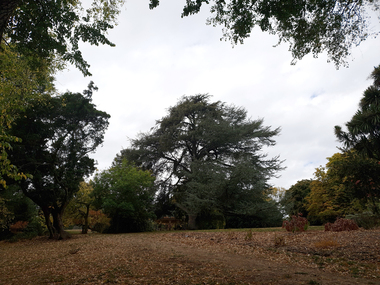 Photograph - Colour, Clare Gervasoni, Wombat Botanical Gardens, Daylesford, 2019, 23/04/2019