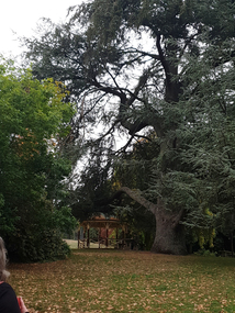 Photograph - Colour, Clare Gervasoni, Wombat Botanical Gardens, Daylesford, 2019, 23/04/2019