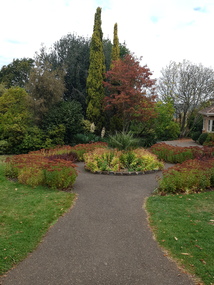 Photograph - Colour, Clare Gervasoni, Wombat Botanical Gardens, Daylesford, 2019, 23/04/2019