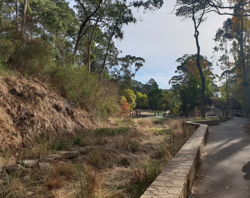 Photograph - Colour, Hepburn Mineral Springs Reserve, 2019, 22/04/2019