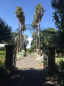 Colour Photograph, Clare Gervasoni, Geelong Botanical Gardens, 2019, 23/03/2019