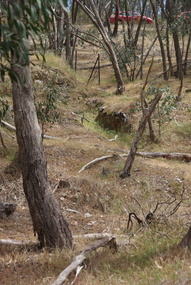 Photograph - Colour, Clare Gervasoni, Former Goldfield in the Muckleford State Forest, 2017, 17/10/2017