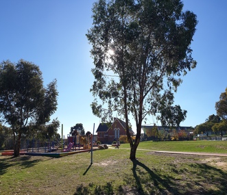Photograph - Photograph - Colour, Clare Gervasoni, Magpie Primary School, Victoria, 2019, 18/05/2019
