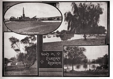 Photograph - Image, Eureka Stockade Reserve
