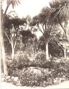 Image, Ballarat East Gardens, c1895, c1895