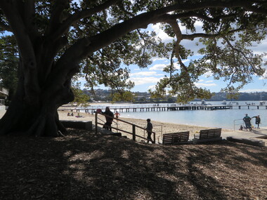 Balmoral Beach Swimming Enclosure, 2019