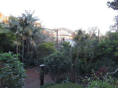 Photograph - Colour, Sydney Harbour Bridge from Wendy's Garden, 2019, 12/07/2019