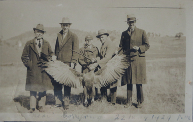 Photograph - Black and White, Near Corriyong, 1948, 22/05/1929