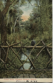 Postcard, Ballarat Botanical Gardens, c1908