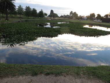 Photograph - Colour, Lake Penhalluriack in the Eureka Stockade Memorial Garden, 25/10/2018