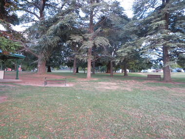 Photograph - Colour, Trees in the Eureka Stockade Memorial Garden, 09/02/2017