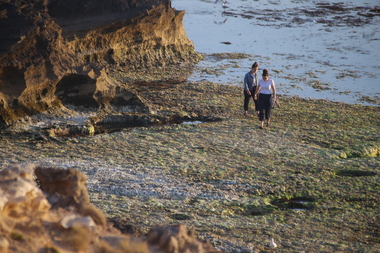 Photograph - Colour, Low Tide around Thunder Point, Warrnambool, 2019, 27/12/2019