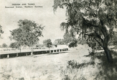 Image - Black and White, Trough and Tanks, Rosewood Station, Northern Territory, c1950