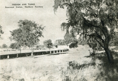 Image - Black and White, Trough and Tanks, Rosewood Station, Northern Territory, c1950, c1950