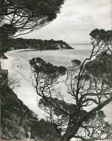 Photograph - Image - Black and White, Portsea on Port Phillip Bay, c1950