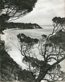Photograph - Image - Black and White, Portsea on Port Phillip Bay, c1950, c1950