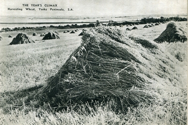 wheat stook