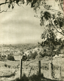 Image - Black and White, View Towards Lake Daylesford, Victoria, c1950