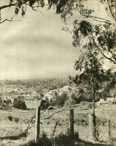 Photograph - Image - Black and White, View Towards Lake Daylesford, Victoria, c1950, c1950