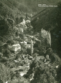 Image - Black and White, Walhalla, Victoria, c1950, c1950
