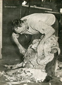 Shearing
