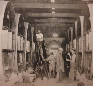 Photograph - Image - Black and White, A Wine Cellar, C1905