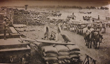 Image - Black and White, A Mallee Railway Station, C1905