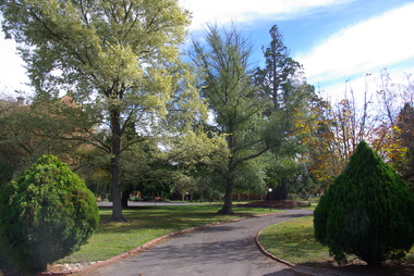 Photograph - Photograph - Colour, Clare Gervasoni, Former St Joseph's Orphanage Gardens, 2012, 21/04/2012