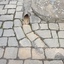 Bluestone gutter and Drain, Lydiard Street South, Ballarat