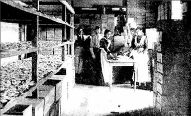 Image - Black and White, Macaroni Factory, Hepburn Springs, 1900